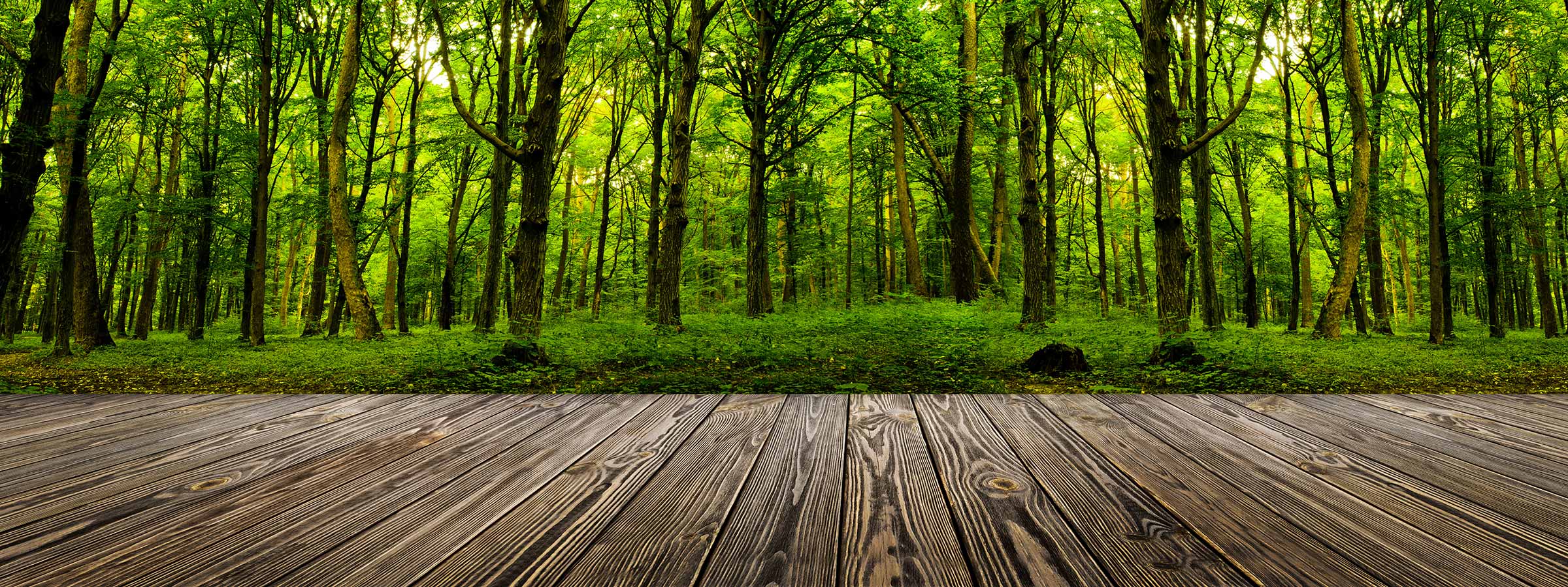 Natur